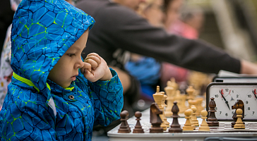 «БИОТУМ» стал Генеральным партнером шахматного турнира